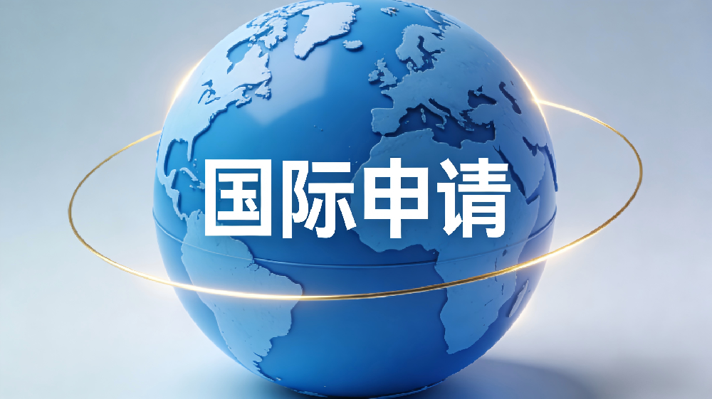 国际申请服务